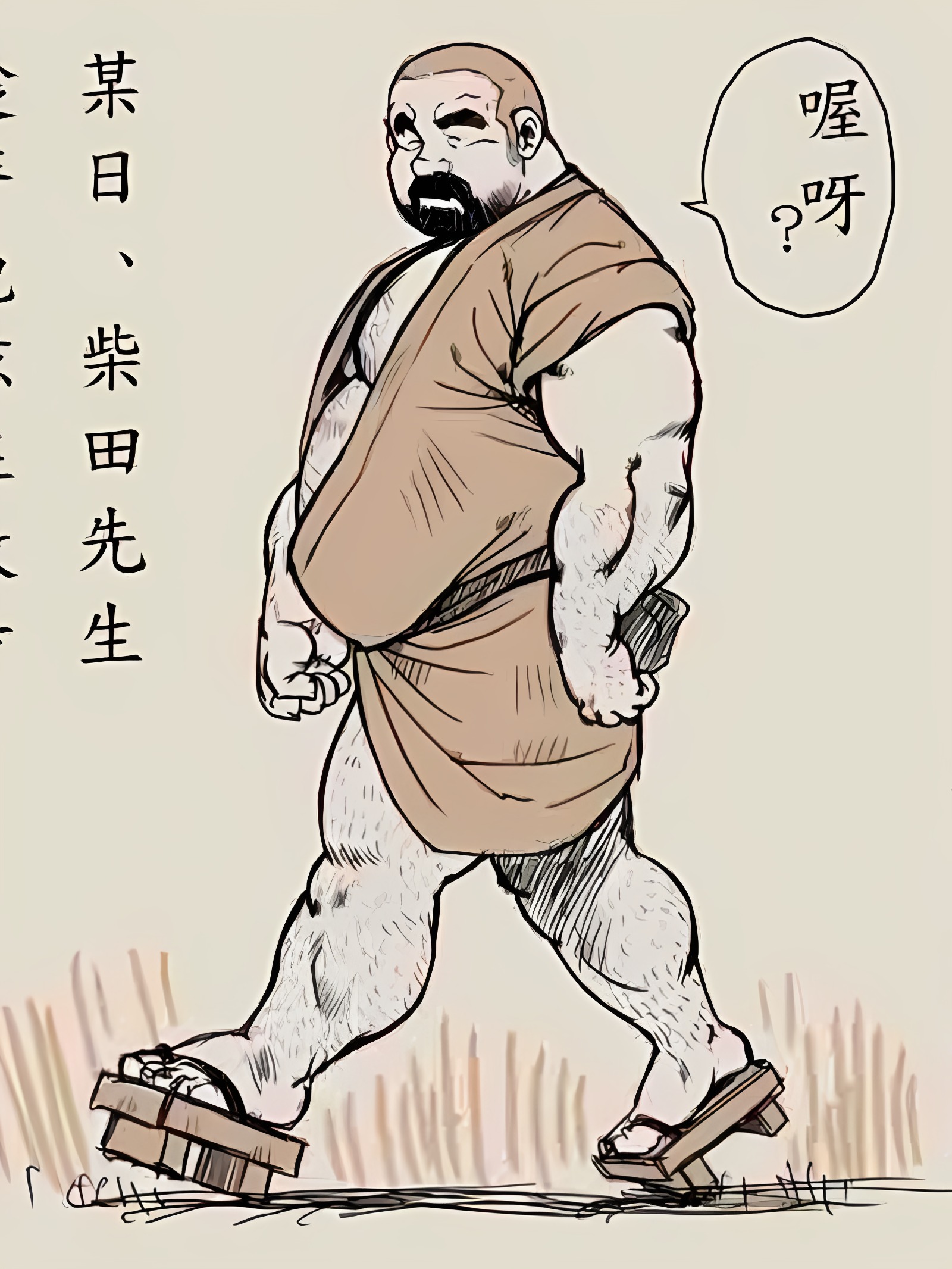 柴田先生与貍的报恩